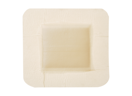 Mestopore®
