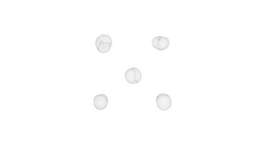 Tampons chirurgicaux, Non-tissé standard